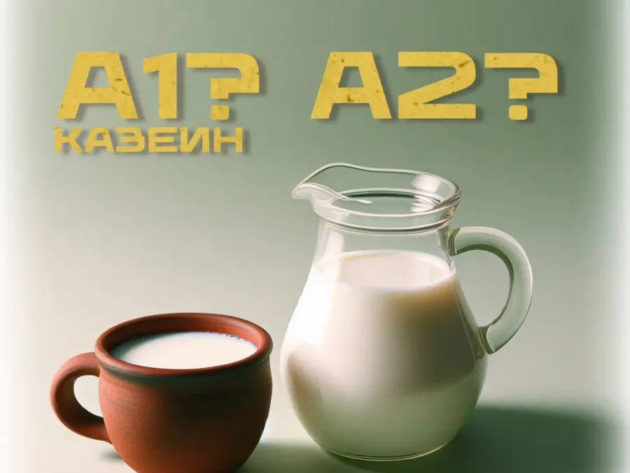 A1 или А2?